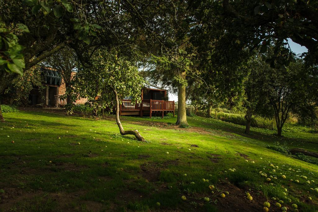 Newsham Grange Farm Bed and Breakfast Thirsk Buitenkant foto