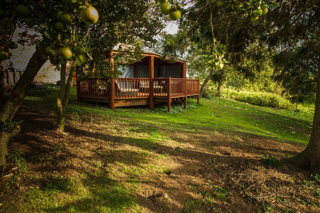 Newsham Grange Farm Bed and Breakfast Thirsk Buitenkant foto